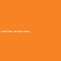 Schickes Bronze-Auto