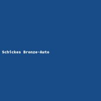 Schickes Bronze-Auto